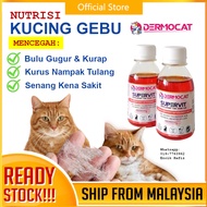 Vitamin Kucing Melebatkan Bulu dan Mencegah Penyakit