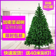 Decoration Christmas Tree/Encrypted Shopping Mall Outdoor Large Christmas Household 3// Meter Simula