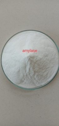 MEN VI SINH Enzyme Amylase 1.000 Ui/G - 5kg