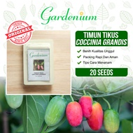 GARDENIUM Benih Timun Tikus Timun Padang Coccinia Grandis