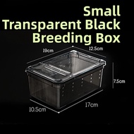 Insect & Reptile Habitat Box
