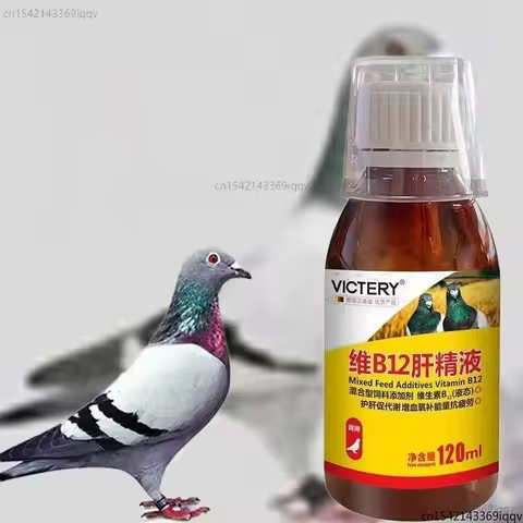 120ml Racing Pigeon Tonic Vitamin B12 Liver Supplement for Energy, Recovery Faster Lactic Acid Clear