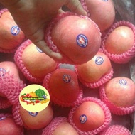 Buah Apel Fuji 1kg Segar