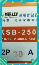 順山 BH型 KSB-250 2P20 2P30 2P50 無溶絲開關附漏電器，開關附漏電保護裝置，漏電斷路器。