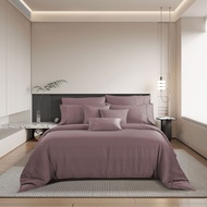 Bộ ga kèm Vỏ chăn Akemi Tencel Modal Earnest Misun và Linzi collection gồm 6 món (Super King / King