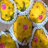 buah naga kuning fresh 1 kg