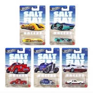 Hot Wheels Salt Falt SERIES 2025 - HW SERIES
