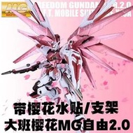大班 MG 1/100 自由鋼彈 2.0 櫻花粉色 櫻花自由 組裝模型 6650