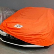 Vw Beetle car Cover