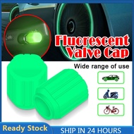 Universal Fluorescent Green tires Air Cap Stem Valve Luminous Valve Cap Wheel Tire Valve Cap