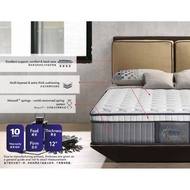DREAMLAND CHIRO ESSENTIAL I MATTRESS