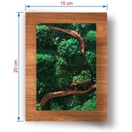 Moss Frame 15cm X 20cm