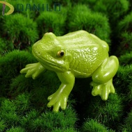 DANILO Growth Cycle Model For Kid Science Toy Biology Kids Toy Insect Animals Butterfly Growth Cycle