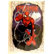 American Version Marvel Spider-Man Silver Spider Web 3d A4 Poster