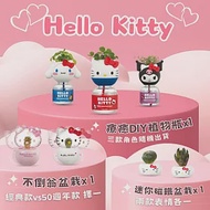 為你每天加加油【Green Pandora】Hello Kitty 組合 (不倒翁盆栽(經典款、50週年款擇一)+療癒植物瓶(三款隨機出貨)+迷你磁鐵盆栽(2入組)) 50週年款（粉色）款不倒翁