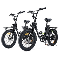 isinwheel U7 Electric Bike for Adults, 750W Peak 20 mph Cargo Ebike Adult Electric Bicycles 55 Miles