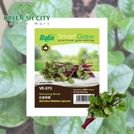 GNC - Baba Smart Grow Seed: VE-075 Red Stem Malabar Spinach Vege Seed Biji Benih Sayur Sayuran