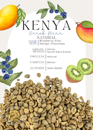 🚚พร้อมส่ง💯 เมล็ดกาแฟดิบ Kenya Narok Mara Natural process/ เมล็ดกาแฟนอก/ เมล็ดกาแฟสารเคนย่า