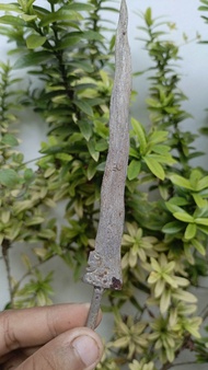 keris nogo siluman Luk 7