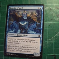 erudite wizard - FDN
