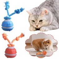 Usb Rechargeable Electric Smart Rolling Ball Interactive Toy Exercise Fun Cat Pet Indoor W7