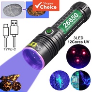 UV Light Ultra Violet 365nm LED Flashlight Torch Blacklight USB Inspection Lamp