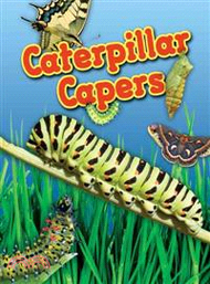 Caterpillar Capers