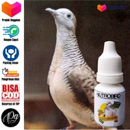 NUTROBIRD SUPPLEMENT TURTLEDOPE / birdvit / gacor konslet perkutut / vitamin burung perkutut / suplemen burung perkutut / nutrisi burung perkutut / obat burung / herbal burung / burung kontes / asli original