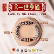 【 六畐天珠 6F Dzi 】财富组【一世亨通】天珠阵