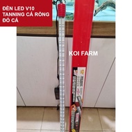 Led Light V10 TANNING Red Arowana Not Red Water