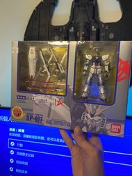 HCM-Pro Special Painted v GUNDAM (Completed)