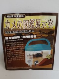 迷你扭蛋玩具   再生類之大百科     蘇卡達陸龜   包本地平郵