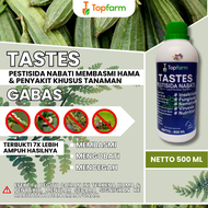 Obat Bercak Daun Gambas / Obat Hama Pada Gambas / Obat Hama Tanaman Oyong / Obat Hama Oyong / Obat K