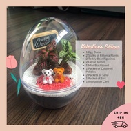 V'Day Terrarium Kit