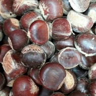 Fresh chestnut 1kg