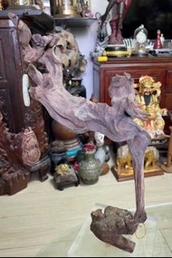 丹鳳喬洋（雜木）