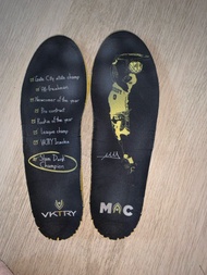 Vktry特別版碳版鞋墊EU.40