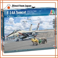 F-14A Tomcat (50th First Flight)