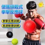 Next Day With Boxing Reaction Ball Speed Bouncy Target Sandbag