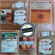 bibit kecambah polong sawit SRIWIJAYA 5 KAPAS original