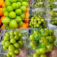 Bibit Anggur Import Shine Muscat 100% Valid Hasil Grafting