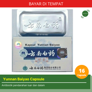 YUNNAN BAIYAO CAPSULE yunnan baiyao capsule yunnan baiyao obat yunnan baiyao capsule obat cina yunna