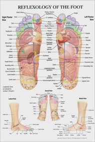 Human Body Science School Education Trigger Points Chart Informational Anatomy Painting Canvas Poste