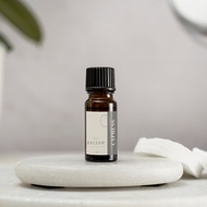 Balsam Essential Oil - Cypress