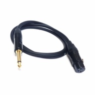 Custom Cable Microphone 1m - Unbalance XLR FM to TS M Cable