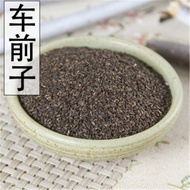 100%Natural Herbs Plantago Asiatica Zi Che Qian Zi Plantain Zi Psyllium Zi