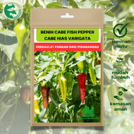30 Benih Cabai Varigata FISH PEPPER Urban Farming Cabe Hias Pedas
