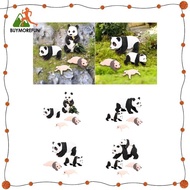 [Buymorefun] 4Pcs Panda Animal Life Cycle Model,Panda Growth Cycle Figures,Educational Toys,Party Classroom Accessories Kid,Girls