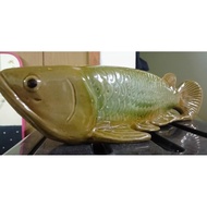 Tabung pasu ikan kelisa