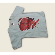 T-SHIRT SPIDER 10YEAR - 16YEAR